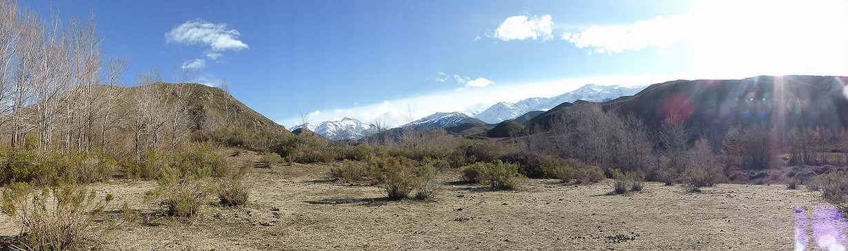 Estancia El Puesto - Mendoza - Argentina